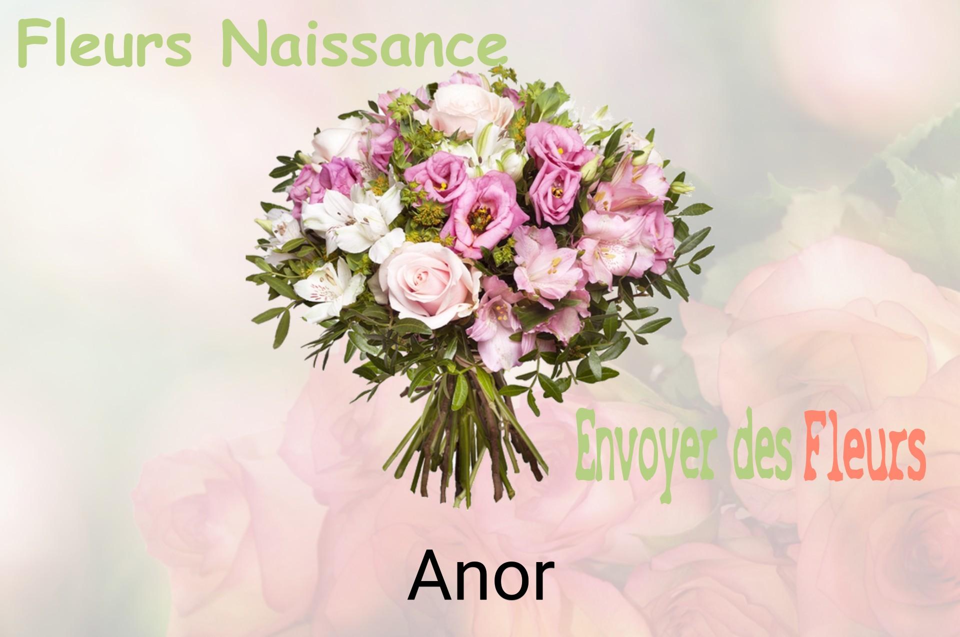 Bouquet de fleurs de naissance livré à Anor