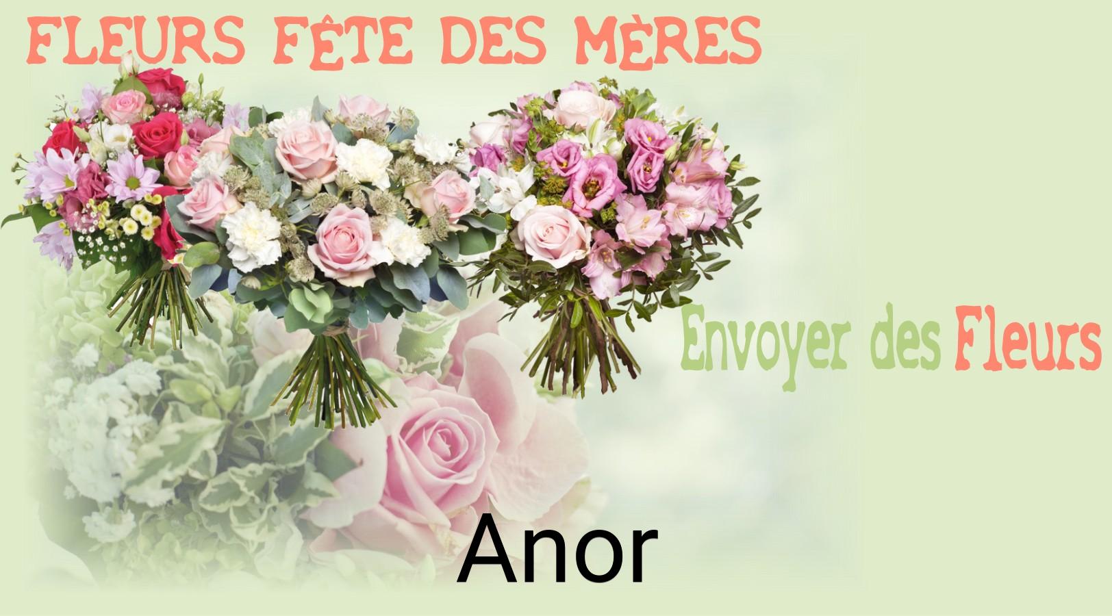 Bouquet de Fête des Mères livré à Anor